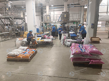 Detergent Powder Production Line Put into Normal Operation Detergent Powder Production Line Put into Normal Operation